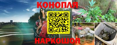 герыч Новодвинск